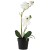 Faux  Orchid in a Pot White by Grand Illusions