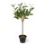 Faux Olive Tree in a Pot by Grand Illusions