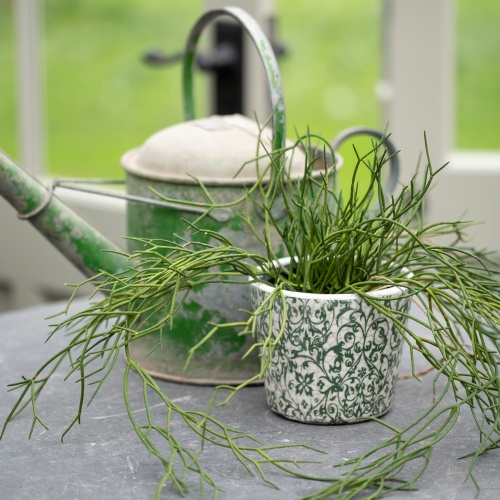 Faux Hanging Grass in Pot by Grand Illusions