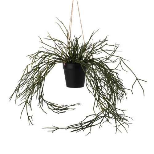 Faux Hanging Grass in Pot by Grand Illusions