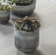 Frith Plant Pot by Garden Trading