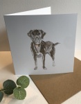 Exclusive  ''Labrador'' greetings card  by Sam Purcell for Hilly Horton Home